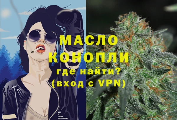 метадон Алексин