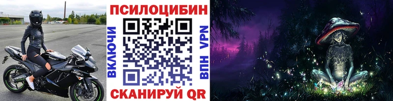 Псилоцибиновые грибы MAGIC MUSHROOMS  гидра онион  Ессентукская  купить закладку 